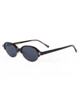 Sette | Tortoise