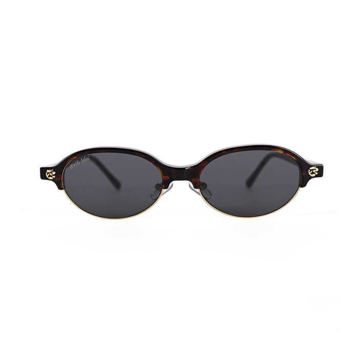 Sette | Tortoise