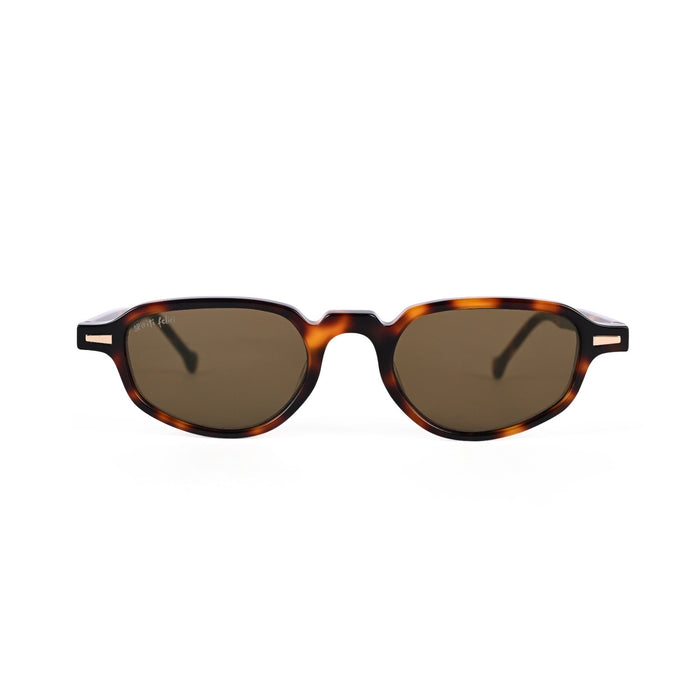 Script | Tortoise