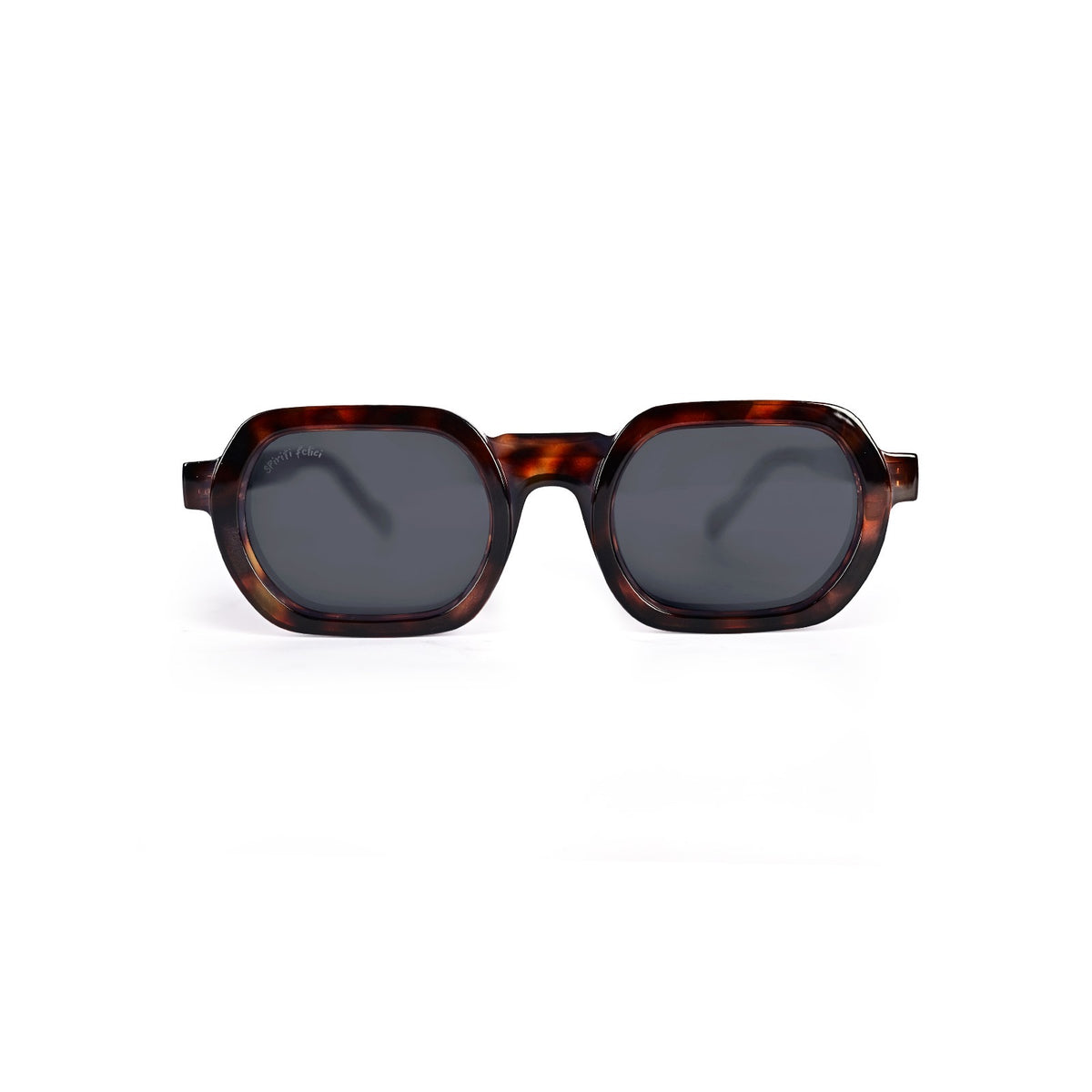 Traveller | Tortoise
