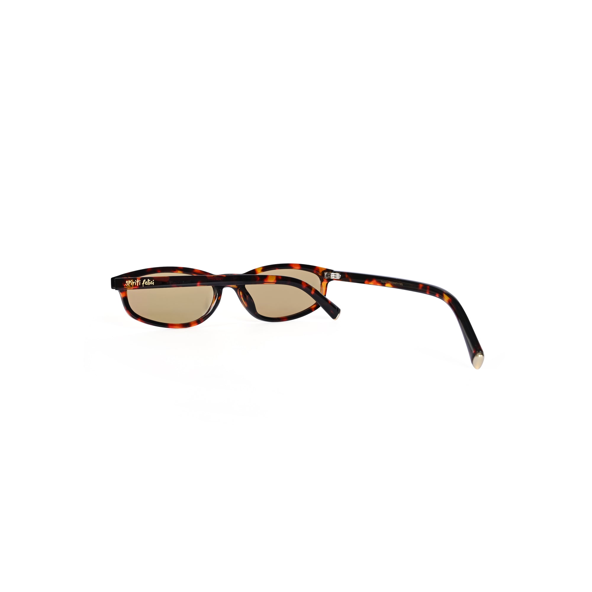 Replay | Tortoise Brown