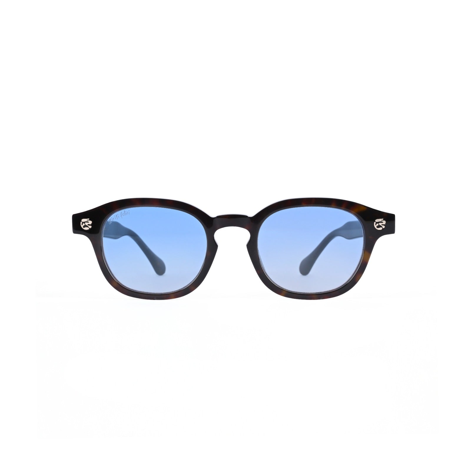 Voice | Tortoise Blue