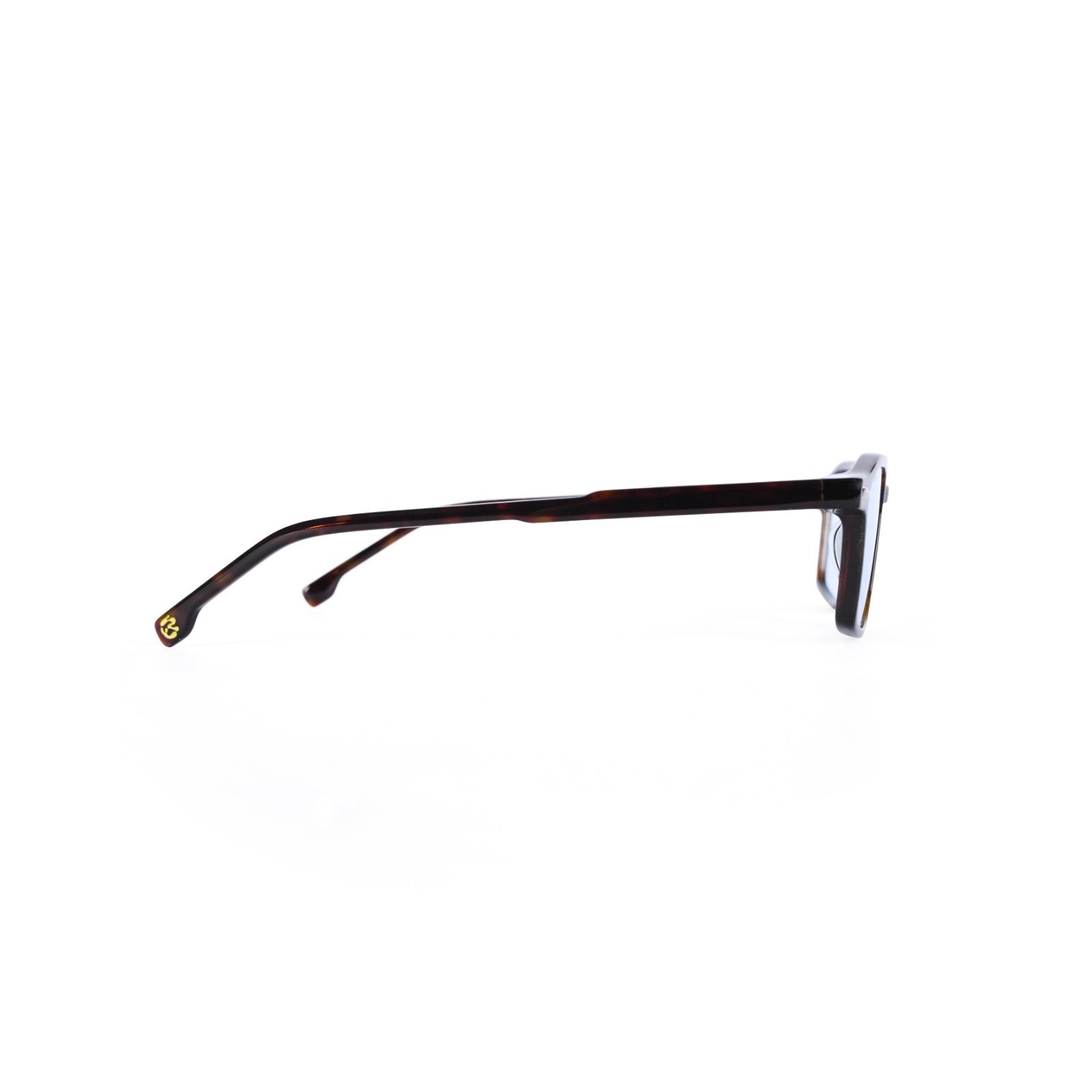 Synergy | Tortoise Blue