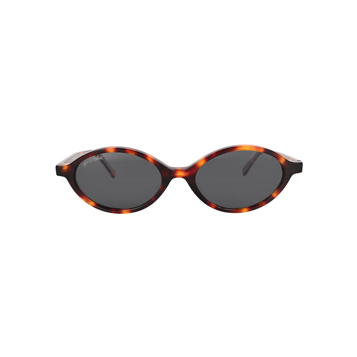 Quattro | Tortoise